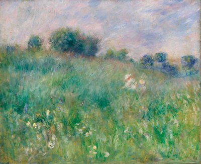 Wiese von Pierre Auguste Renoir