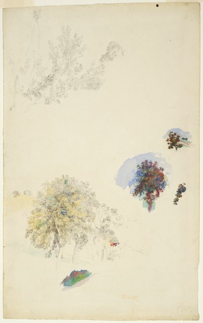 Studien von Bäumen und Laub von Pierre Auguste Renoir
