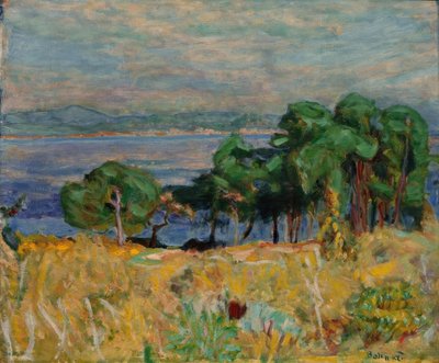 Die Bucht von Saint-Tropez von Pierre Bonnard