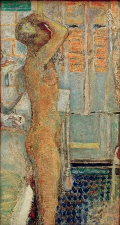 Grauer Akt im Profil von Pierre Bonnard