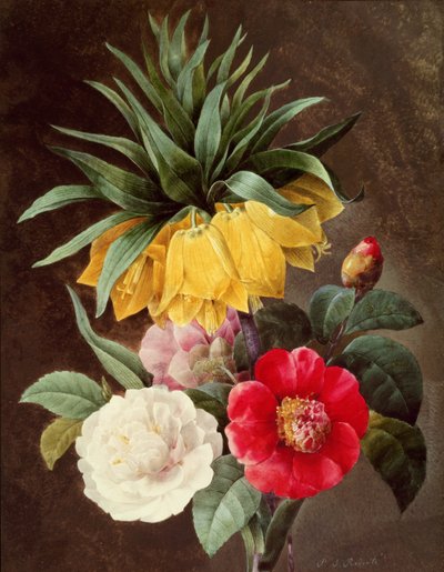 Exotische Blumen von Pierre Joseph Redouté