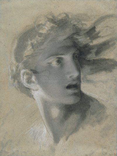 Kopf der Rache von Pierre Paul Prud