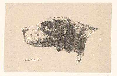 Hundekopf mit Halsband von Pieter Bartholomeusz. Barbiers