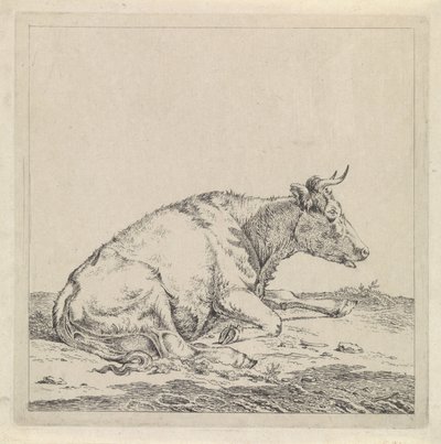 Liegende Kuh, nach rechts von Pieter Janson