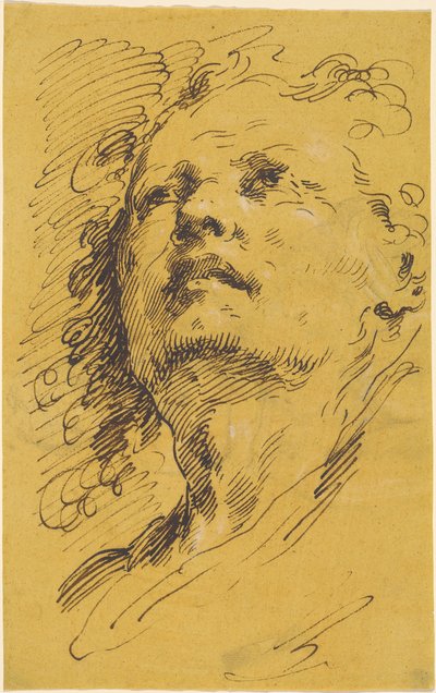 Kopf eines Mannes, der nach oben schaut von Pietro Antonio Novelli