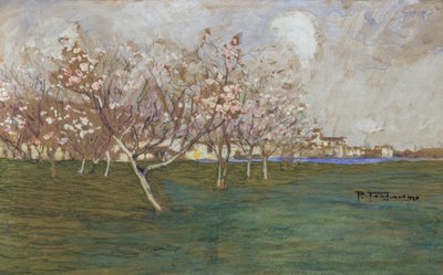 Frühling von Pietro Fragiacomo