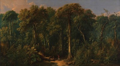 Javanischer Dschungel, ca. 1860 von Raden Saleh