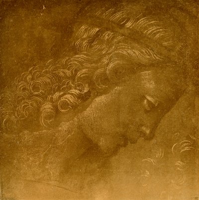 Studie eines Engelkopfes von Raffaellino del Garbo