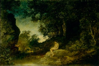 Am Spiegel der Natur von Ralph Albert Blakelock