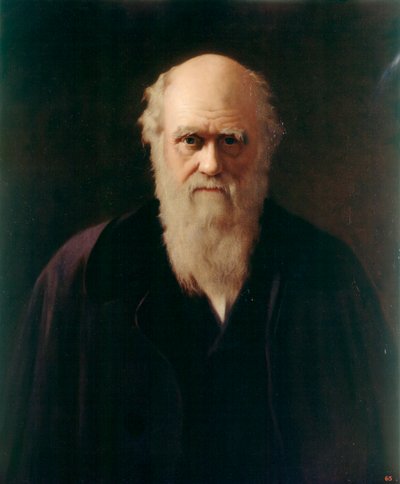 Charles Darwin von Reilly Reilly