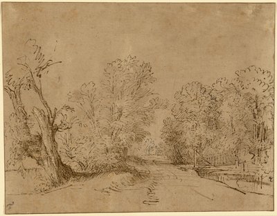 Eine bewaldete Straße von Rembrandt Harmensz. van Rijn