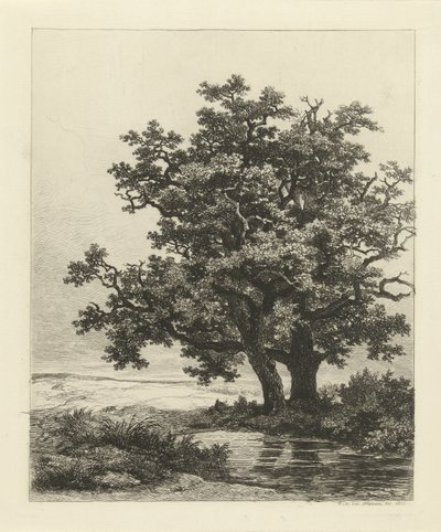 Zwei Eichen an einem Teich von Remigius Adrianus Haanen