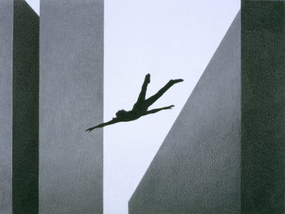 Fliegen von Rene Boin