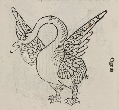 Das Sternbild des Schwans von John Pardon