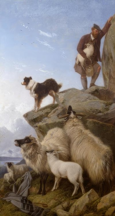 Das verirrte Schaf, Gemälde von R. Ansdell, 1868 von Richard Ansdell