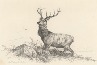 Der Wächter von Richard Ansdell