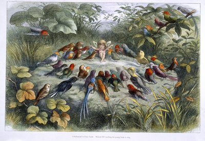 Ein Elf und Vögel von Richard Doyle