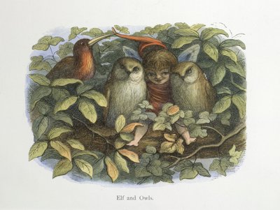 Elf und Eulen von Richard Doyle