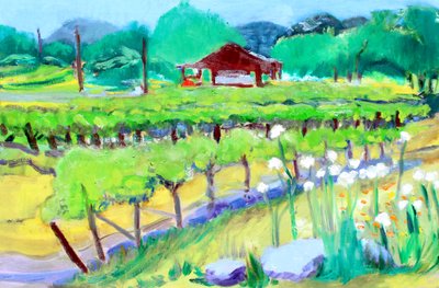 Weinberg auf Zinfandel Lane, Napa, 2019 von Richard Fox