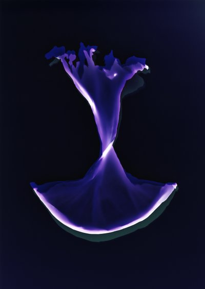 Ohne Titel, 2004 von Richard Green
