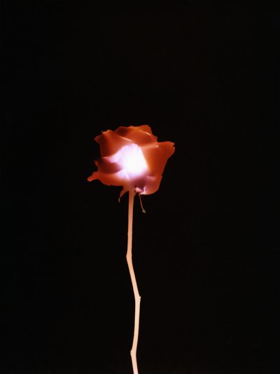 Ohne Titel, 2007 von Richard Green