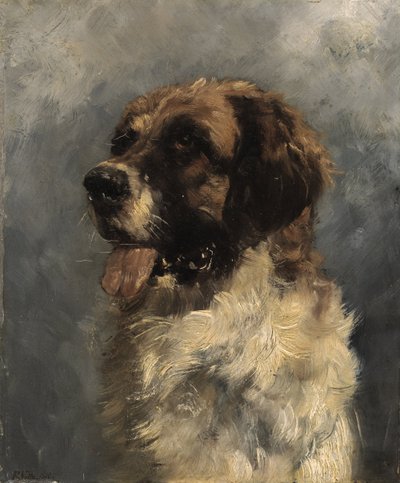 Bernhardinerhund von Richard Voltz