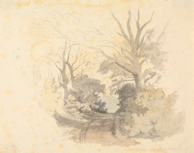 Ein Weg, Great Borside von Robert Hills