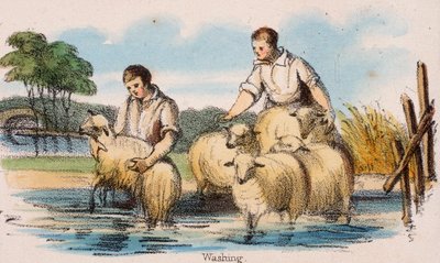 Wäsche, ca. 1845 von Robert Kent Thomas