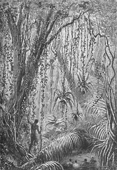 Brasilianischer Wald, ca. 1885-1890 von Robert Taylor Pritchett