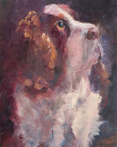 Romeo von Roberta Murray