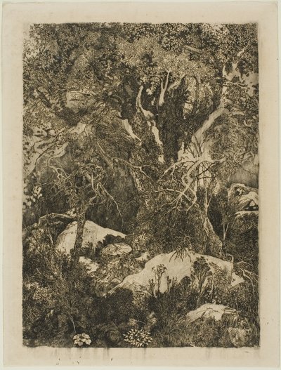 Der Wald von Fontainebleau von Rodolphe Bresdin