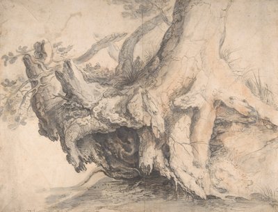 Studie eines Baumes, ca. 1606-1607 von Roelandt Savery