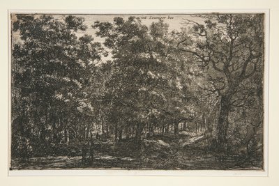 Int Seuniger Bos von Roelant Roghman