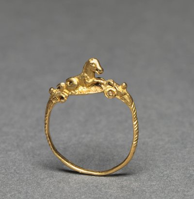 Ring von Roman