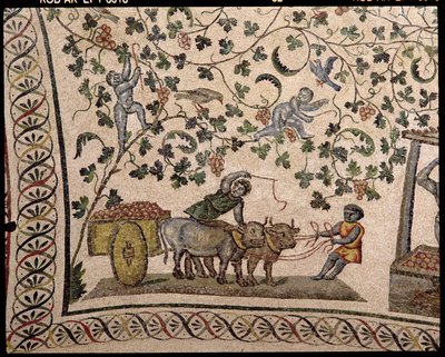 Die Weinlese von Roman