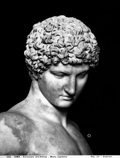 Detail von Antinous (Marmor) von Roman Roman