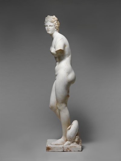 Statue der Aphrodite von Roman Roman