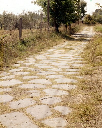 Via Flaminia, Rom von Roman Roman