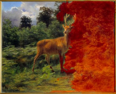 Hirsch, der dem Wind lauscht von Rosa Bonheur