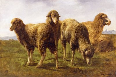 Schafe weiden auf einer Wiese von Rosa Bonheur