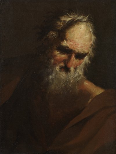 Kopf eines bärtigen Mannes, ca. 1640-80 von Salvator Rosa