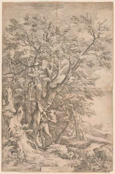 Die Rettung des Säuglings Ödipus von Salvator Rosa