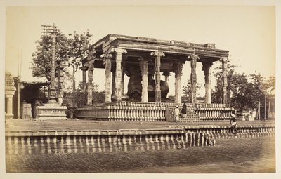 Der große Steinbulle, Tanjore von Samuel Bourne