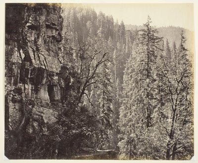 Ohne Titel von Samuel Bourne