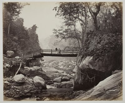 Ohne Titel [Fußgängerbrücke über einen Fluss], ca. 1865 von Samuel Bourne