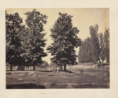 Blick auf den Dhul-Kanal von Samuel Bourne