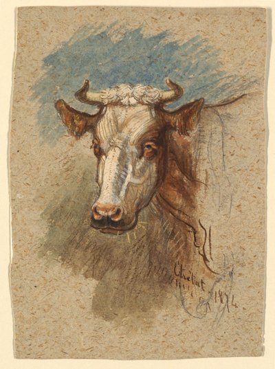 Kopf einer Kuh, Étretat von Samuel Colman
