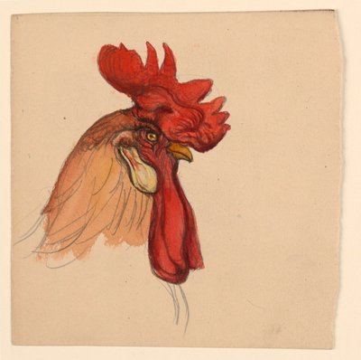 Kopf eines Hahns von Samuel Colman