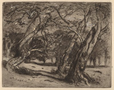 Ohne Titel (Waldlandschaft) von Samuel Colman