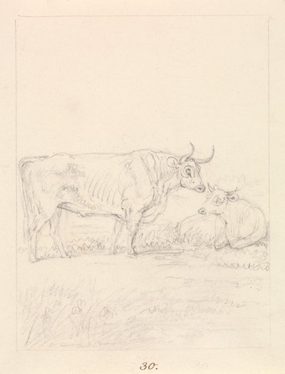 Stier und Kuh von Samuel Howitt